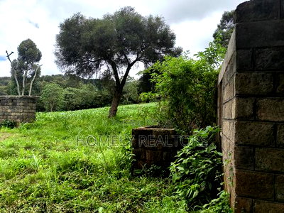5 Acres of Fertile Farmland in Ngong, Kahara, Upper Matasia - Image 3