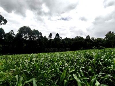 5 Acres of Fertile Farmland in Ngong, Kahara, Upper Matasia - Image 8