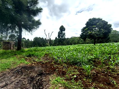 5 Acres of Fertile Farmland in Ngong, Kahara, Upper Matasia - Image 10