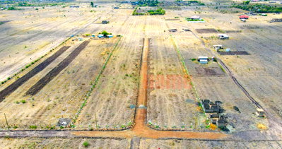 50x100 Plot with Garden in Kiambu