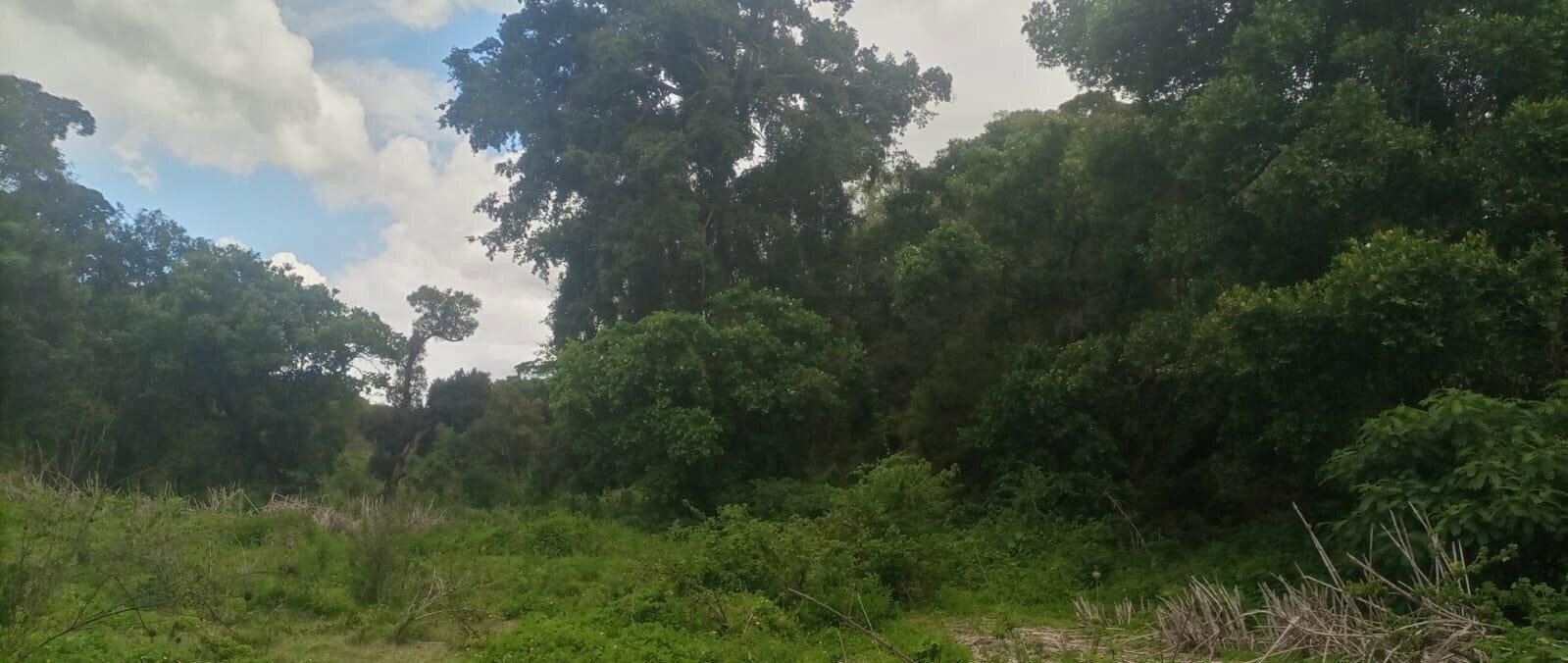 4.5-Acre Land at KSh 2.8M