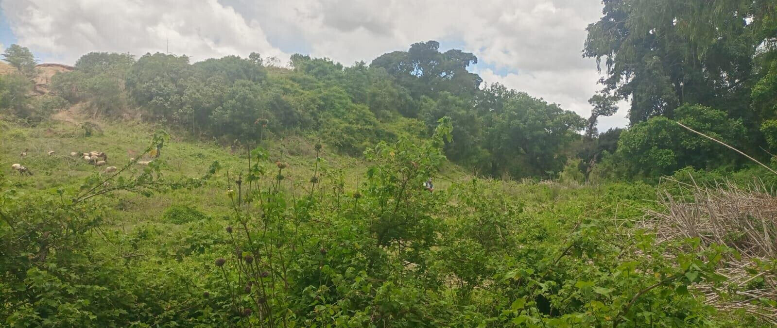4.5-Acre Land at KSh 2.8M