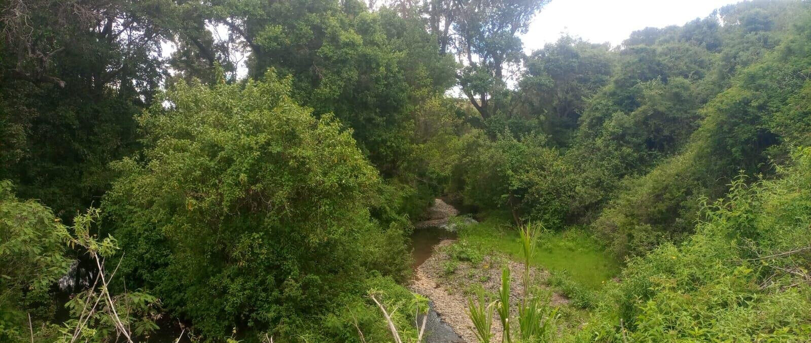 4.5-Acre Land at KSh 2.8M