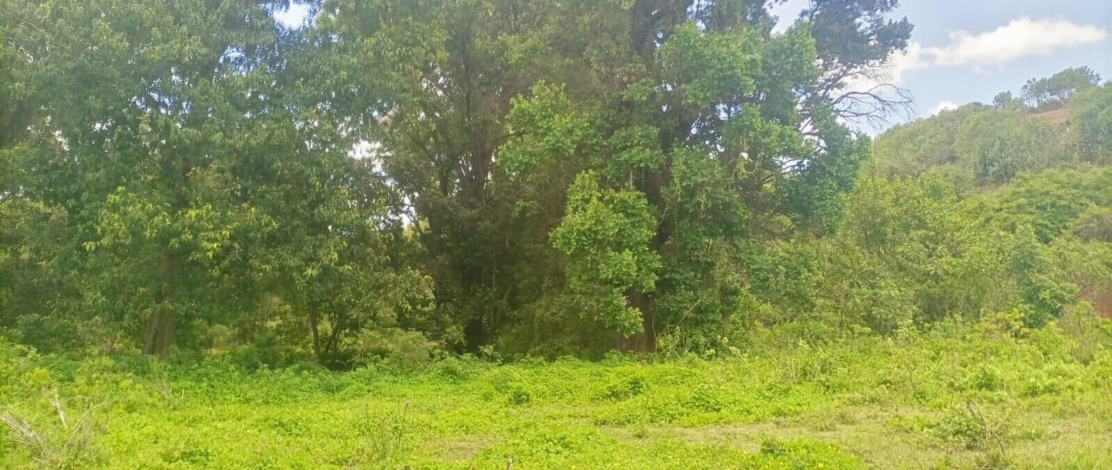 4.5-Acre Land at KSh 2.8M