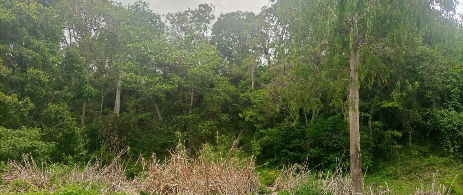 4.5-Acre Land at KSh 2.8M