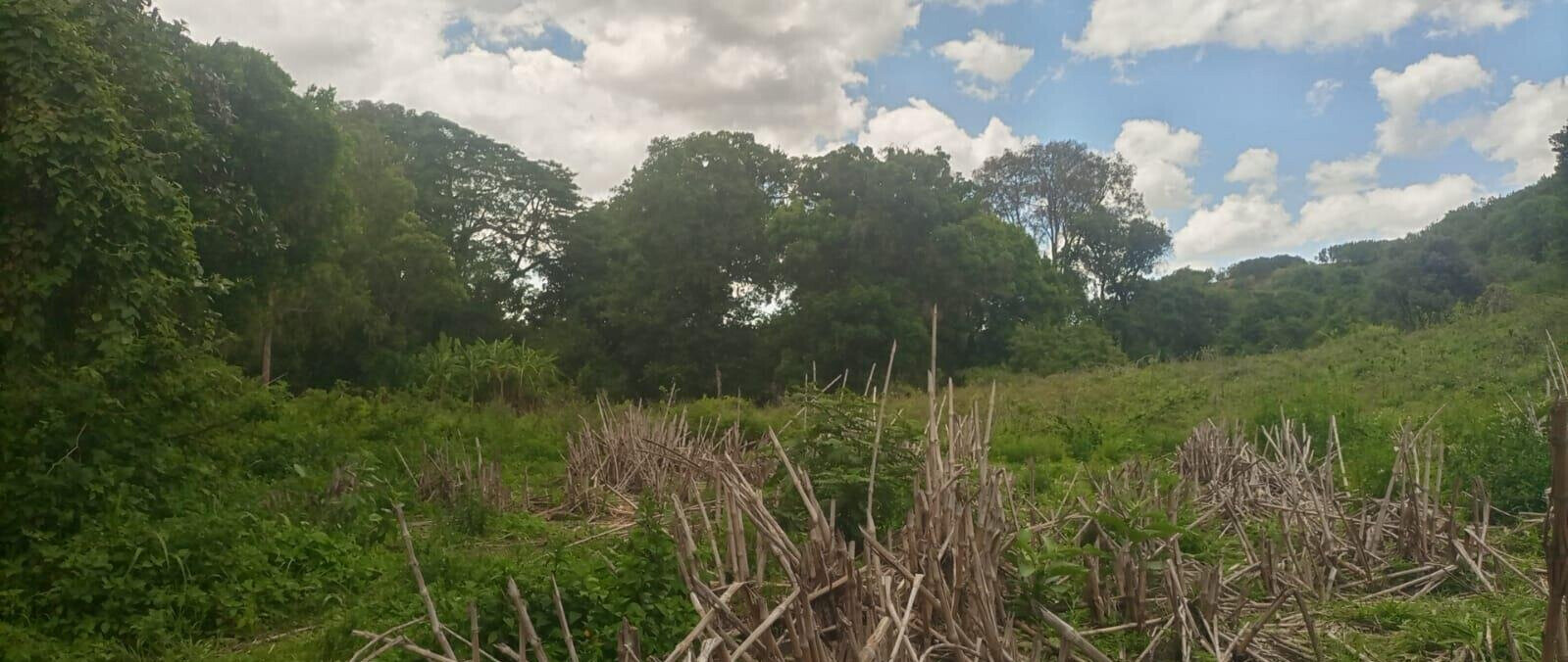 4.5-Acre Land at KSh 2.8M