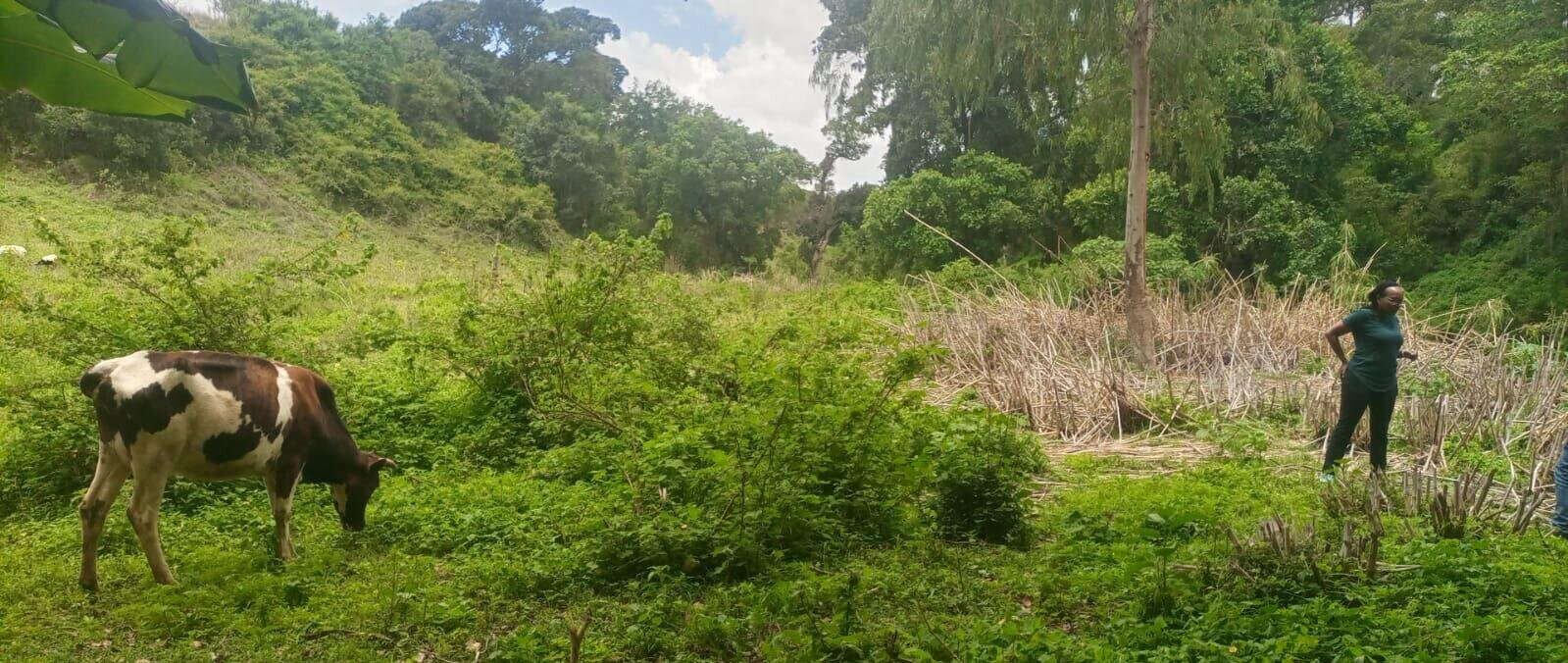 4.5-Acre Land at KSh 2.8M