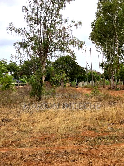 Kilifi Fedha Estate 50x100ft Plots for Sale - Image 5