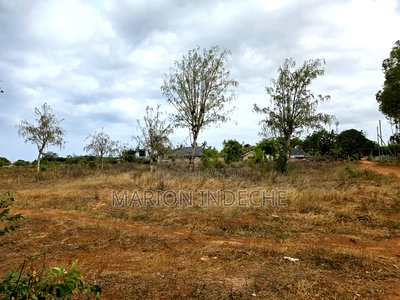 Kilifi Fedha Estate 50x100ft Plots for Sale - Image 6