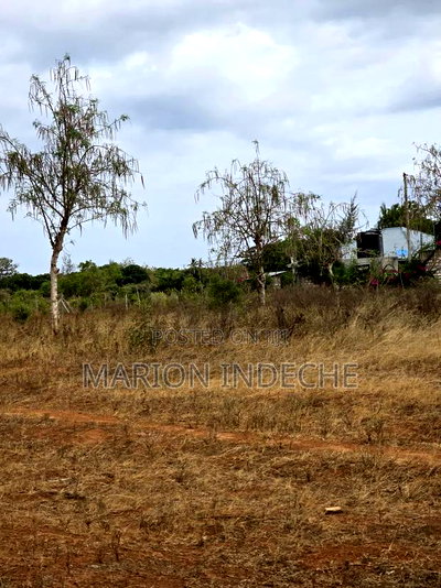 Kilifi Fedha Estate 50x100ft Plots for Sale - Image 4