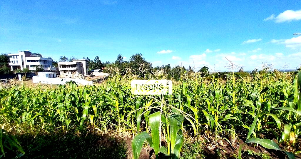 1 Acre Plot in Kajiado CBD for KSh 20M
