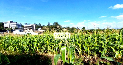 1 Acre Plot in Kajiado CBD for KSh 20M