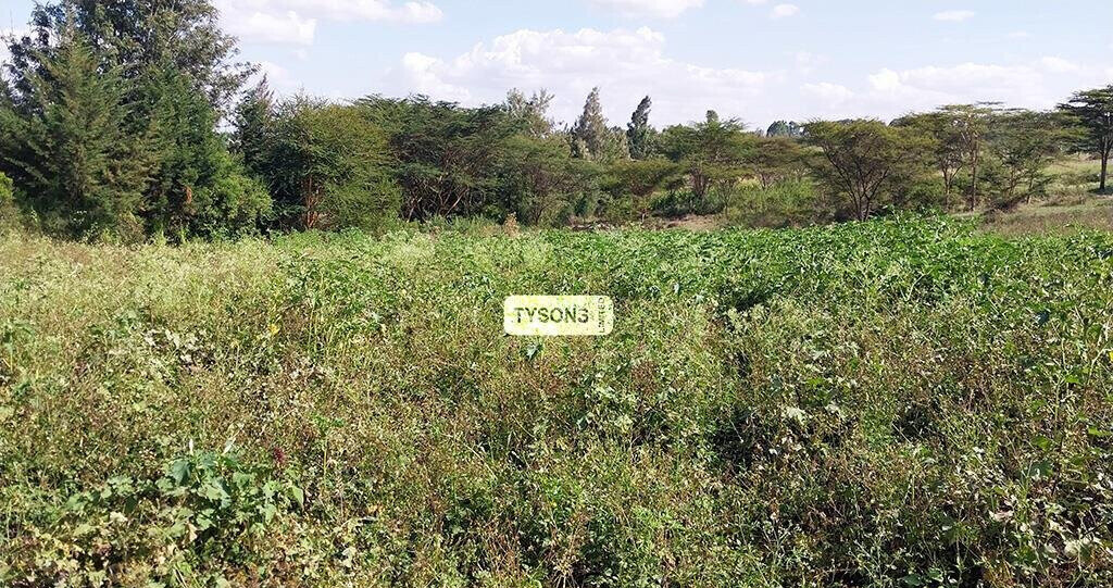 1 Acre Plot in Kajiado CBD for KSh 20M
