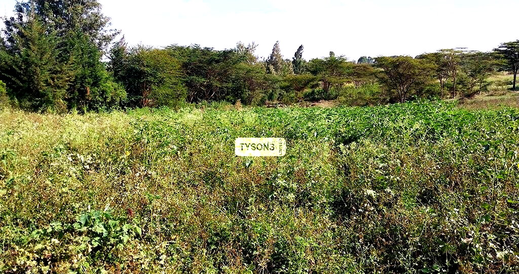 1 Acre Plot in Kajiado CBD for KSh 20M