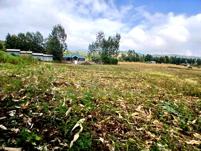 Selling Prime 1 Acre of Land in Upper Matasia - Image 2