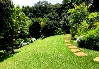 0.75 Acre Lavington Plot with Garden at KSh 125M