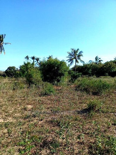 For Sale 30 Acres Touching Mombasa Malindi Rd - Image 4