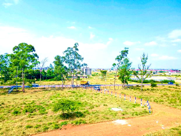 Savanah Court