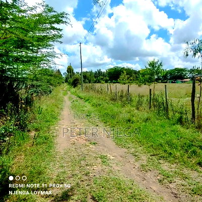 1/4 an in Korompoi Kitengela - Image 2