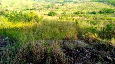 50/130 Feet Plot For Sale - Image 1