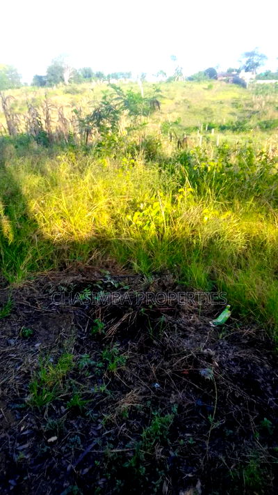 50/130 Feet Plot For Sale - Image 6