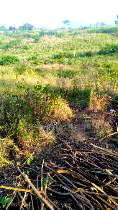 50/130 Feet Plot For Sale - Image 3