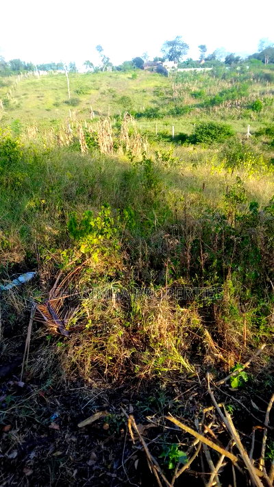 50/130 Feet Plot For Sale - Image 2