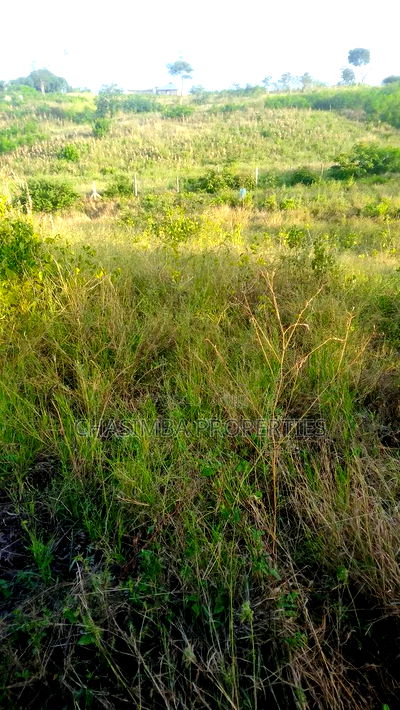 50/130 Feet Plot For Sale - Image 5