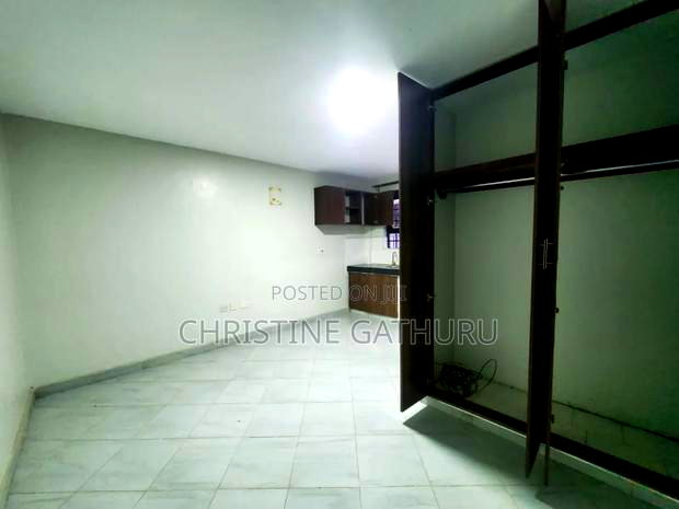 1bdrm Bedsitter in Gitaru for rent