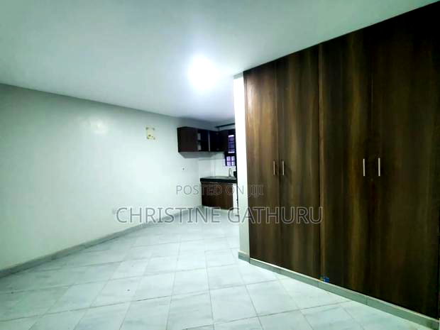 1bdrm Bedsitter in Gitaru for rent