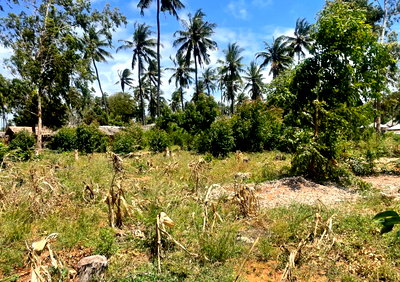 1 Acre Watamu Plot at KSh 8.5M