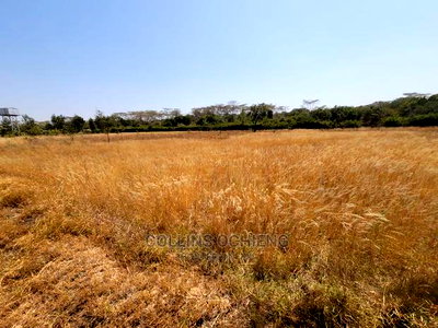 0.5 Acre Land in Karen for Sale - Image 7