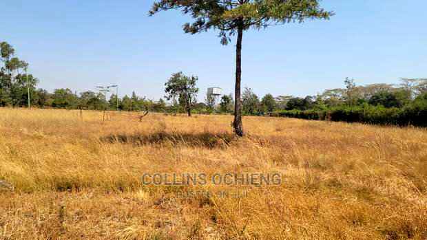 0.5 Acre Land in Karen for Sale