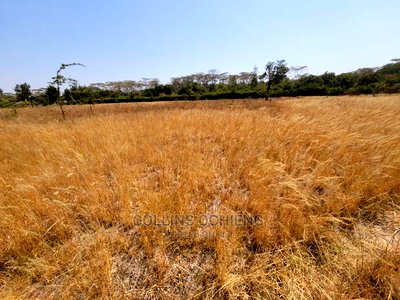 0.5 Acre Land in Karen for Sale - Image 5
