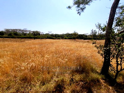 0.5 Acre Land in Karen for Sale - Image 3
