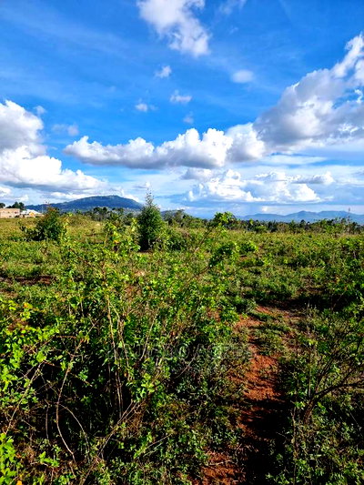 Prime Scenic 3 Acres Kibiko at 15m Per Acre - Image 4