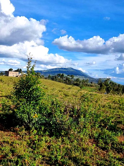 Prime Scenic 3 Acres Kibiko at 15m Per Acre - Image 3