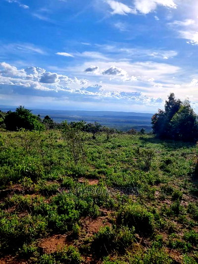 Prime Scenic 3 Acres Kibiko at 15m Per Acre - Image 2