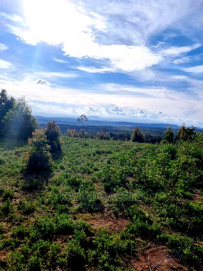 Prime Scenic 3 Acres Kibiko at 15m Per Acre - Image 7