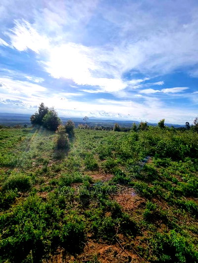 Prime Scenic 3 Acres Kibiko at 15m Per Acre - Image 5