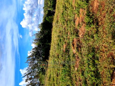 Prime Scenic 3 Acres Kibiko at 15m Per Acre - Image 9