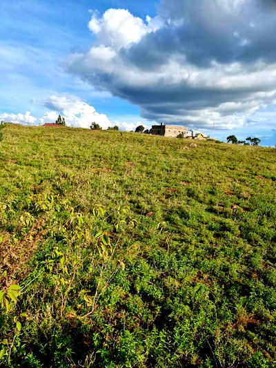 Prime Scenic 3 Acres Kibiko at 15m Per Acre - Image 14