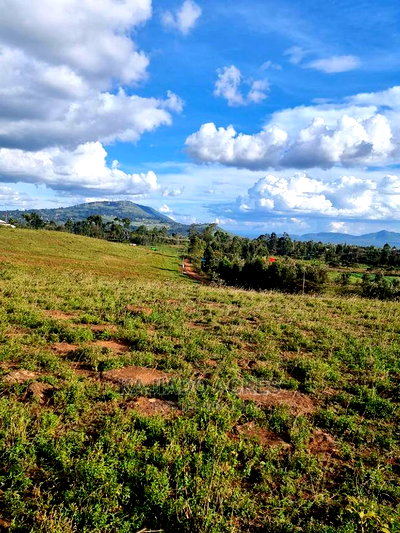Prime Scenic 3 Acres Kibiko at 15m Per Acre - Image 8
