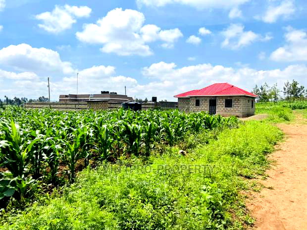 Prime 1/8 Acre Residential Plot for Sale in Kikuyu, Kamangu