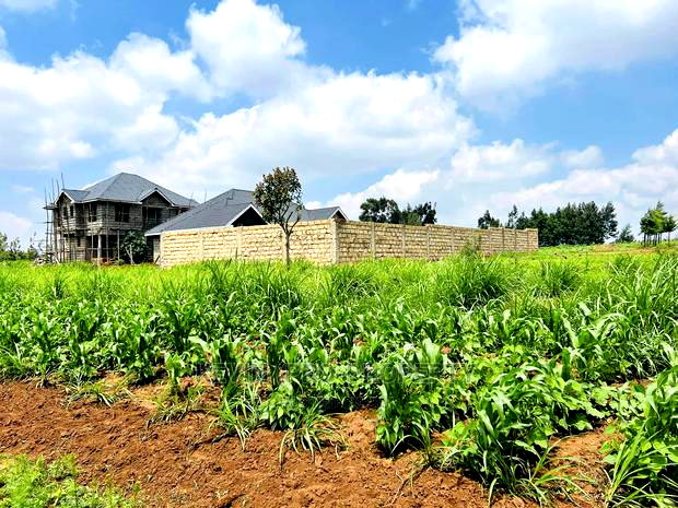 Prime 1/8 Acre Residential Plot for Sale in Kikuyu, Kamangu