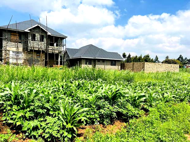 Prime 1/8 Acre Residential Plot for Sale in Kikuyu, Kamangu