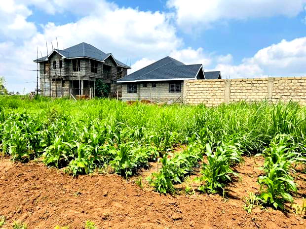 Prime 1/8 Acre Residential Plot for Sale in Kikuyu, Kamangu
