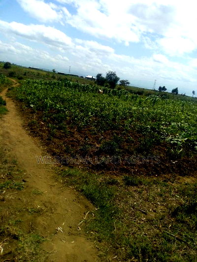 1 Acre on Sale at Kiambogo Longonot Naivasha - Image 2