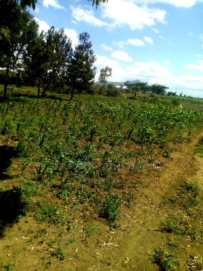 1 Acre on Sale at Kiambogo Longonot Naivasha - Image 1