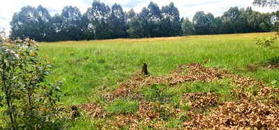 Prime 5 Acres Land for Sale in Kapseret Airport in Eldoret - Image 3